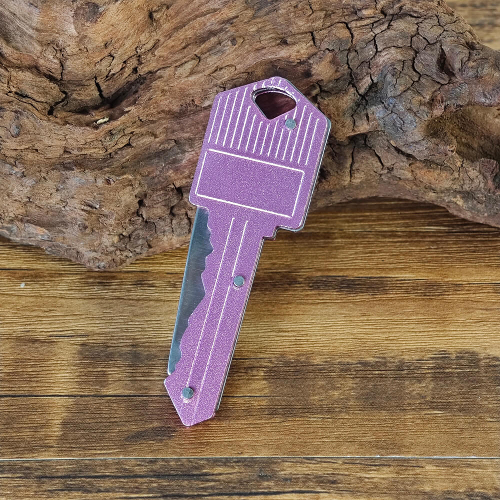 Discreet utility tool designed like a standard key